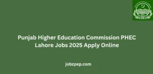 Punjab Higher Education Commission PHEC Lahore Jobs 2025 Apply Online