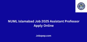 NUML Islamabad Job 2025 Assistant Professor Apply Online