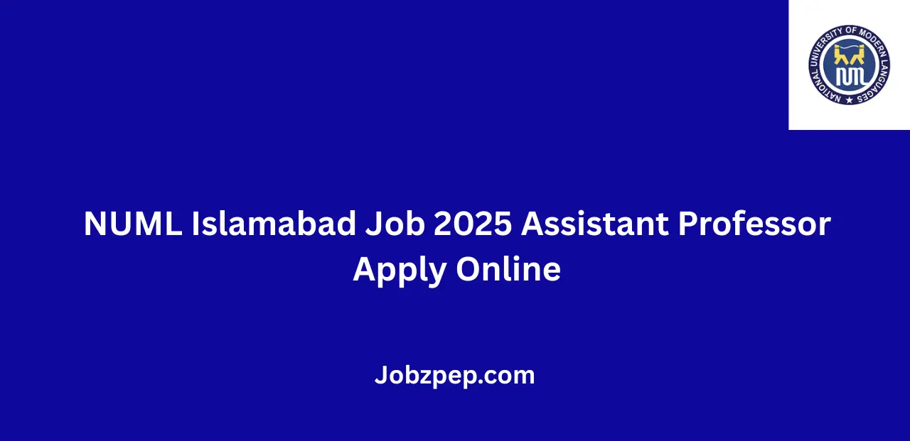 NUML Islamabad Job 2025 Assistant Professor Apply Online