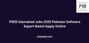 PSEB Islamabad Jobs 2025 Pakistan Software Export Board Apply Online
